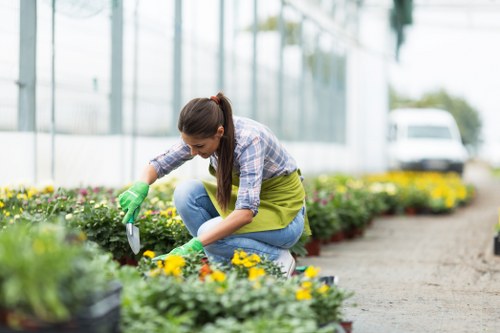 Low-maintenance soft landscaping features for a commercial Coventgarden frontage