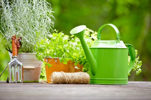 Residential and commercial garden makeover concept for Covent Garden properties