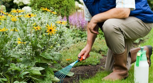 Professional paving and drainage-focused landscaping for a central London property