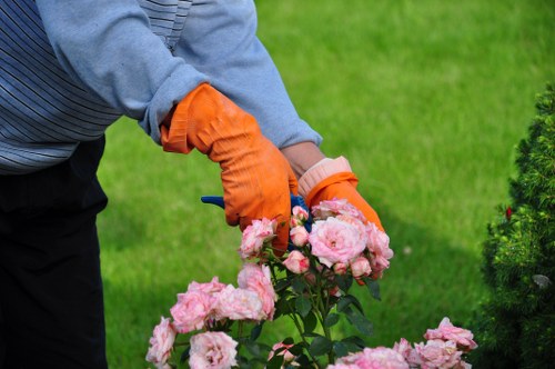 PPE and equipment used during professional garden maintenance