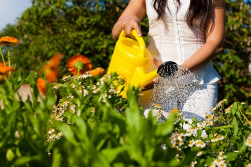 Waste materials being sorted and removed from a landscaping site